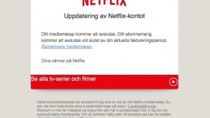 Netflix svindel